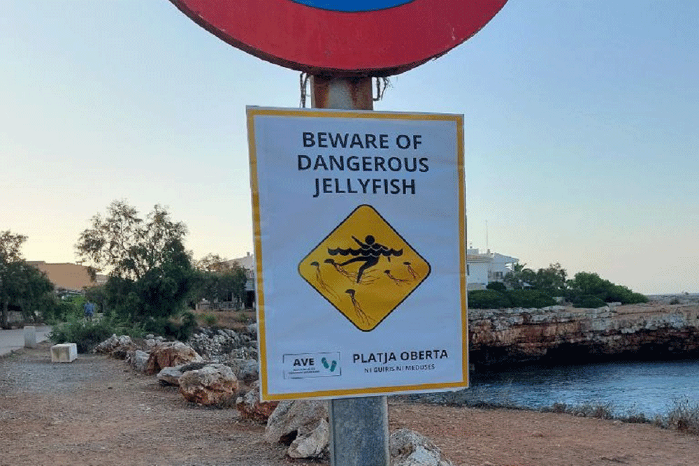 Fake danger beach warnings